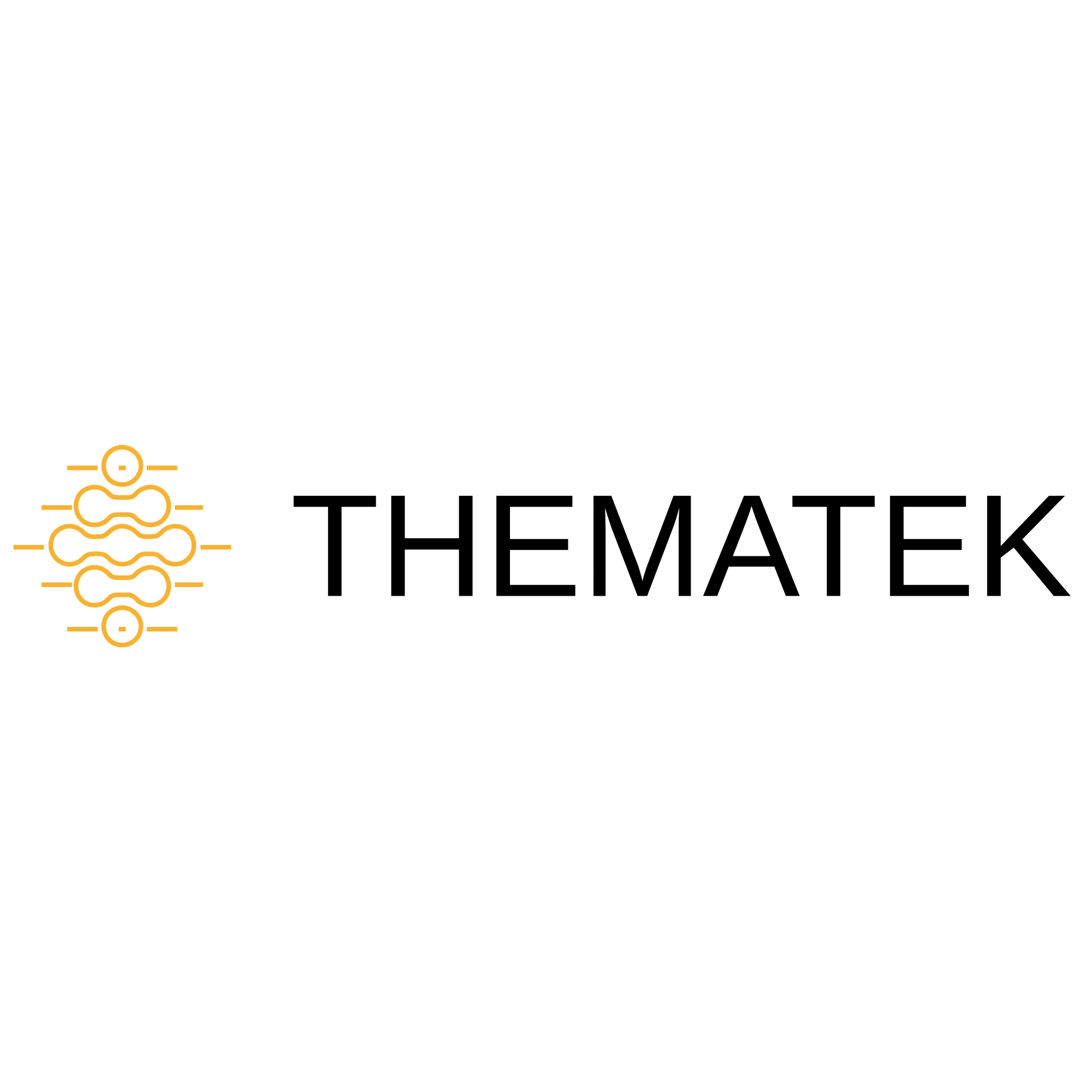 Thematek IT Solutions